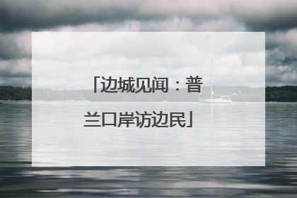 边城见闻：普兰口岸访边民
