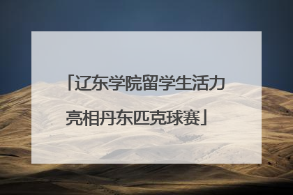 辽东学院留学生活力亮相丹东匹克球赛