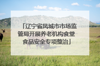 辽宁省凤城市市场监管局开展养老机构食堂食品安全专项整治