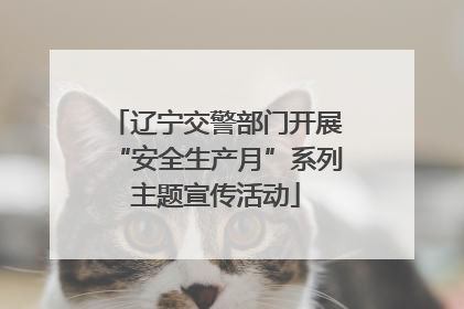辽宁交警部门开展“安全生产月”系列主题宣传活动