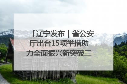辽宁发布｜省公安厅出台15项举措助力全面振兴新突破三年行动决胜之战