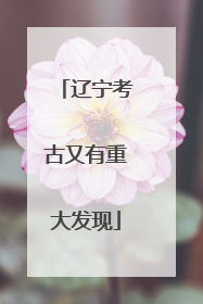 辽宁考古又有重大发现