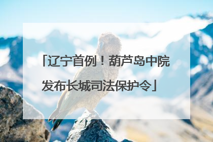 辽宁首例！葫芦岛中院发布长城司法保护令