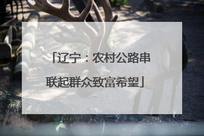 辽宁：农村公路串联起群众致富希望