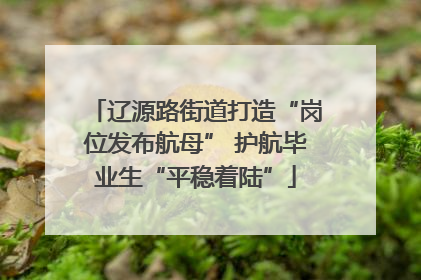 辽源路街道打造“岗位发布航母” 护航毕业生“平稳着陆”
