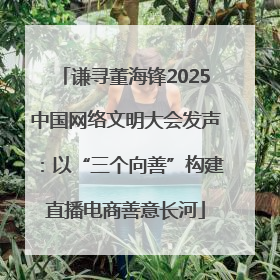 谦寻董海锋2025中国网络文明大会发声：以“三个向善”构建直播电商善意长河