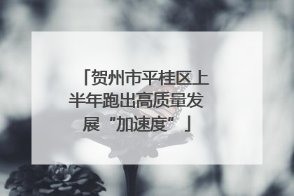贺州市平桂区上半年跑出高质量发展“加速度”