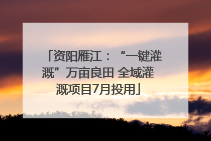 资阳雁江：“一键灌溉”万亩良田 全域灌溉项目7月投用