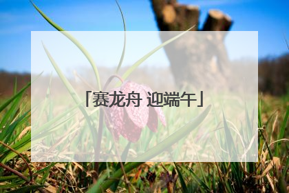 赛龙舟 迎端午
