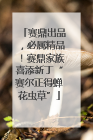 赛鼎出品，必属精品！赛鼎家族喜添新丁“赛尔正得蝉花虫草”