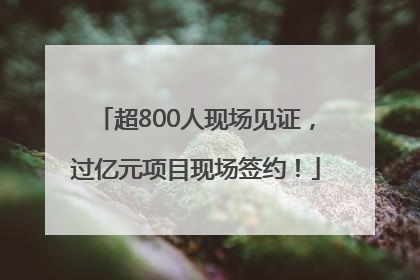 超800人现场见证，过亿元项目现场签约！