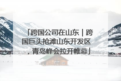 跨国公司在山东｜跨国巨头抢滩山东开发区，青岛峰会拉开帷幕