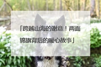 跨越山海的谢意！两面锦旗背后的暖心故事