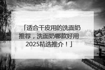 适合干皮用的洗面奶推荐，洗面奶哪款好用2025精选推介！