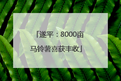 遂平：8000亩马铃薯喜获丰收