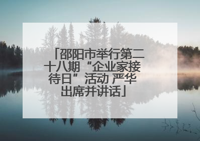 邵阳市举行第二十八期“企业家接待日”活动 严华出席并讲话