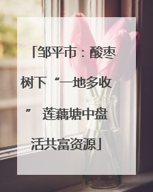 邹平市：酸枣树下“一地多收” 莲藕塘中盘活共富资源