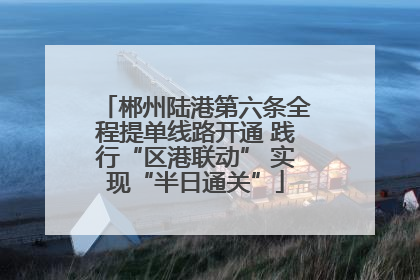 郴州陆港第六条全程提单线路开通 践行“区港联动” 实现“半日通关”