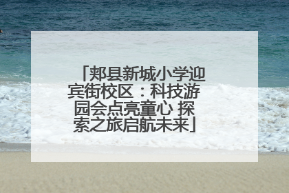 郏县新城小学迎宾街校区：科技游园会点亮童心 探索之旅启航未来