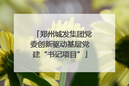 郑州城发集团党委创新驱动基层党建“书记项目”