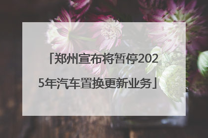 郑州宣布将暂停2025年汽车置换更新业务