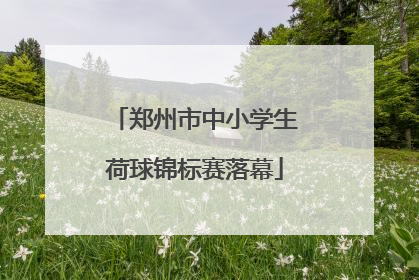 郑州市中小学生荷球锦标赛落幕