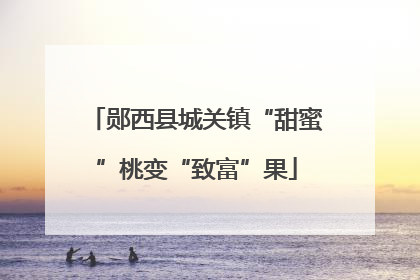 郧西县城关镇“甜蜜”桃变“致富”果