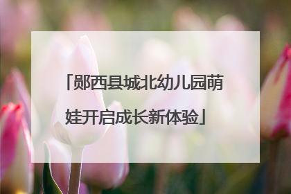 郧西县城北幼儿园萌娃开启成长新体验