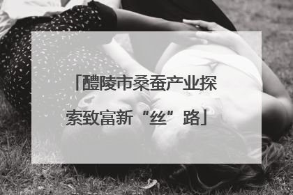 醴陵市桑蚕产业探索致富新“丝”路