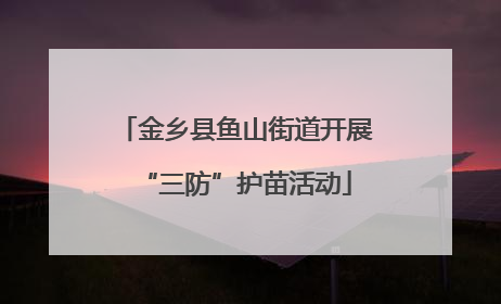 金乡县鱼山街道开展“三防”护苗活动