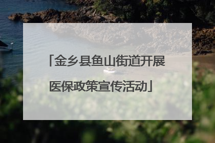 金乡县鱼山街道开展医保政策宣传活动