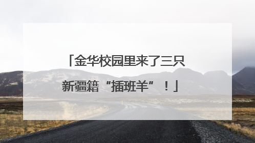 金华校园里来了三只新疆籍“插班羊”！