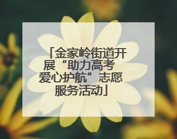 金家岭街道开展“助力高考 爱心护航”志愿服务活动