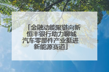金融动能聚链向新 恒丰银行助力聊城汽车零部件产业挺进新能源赛道