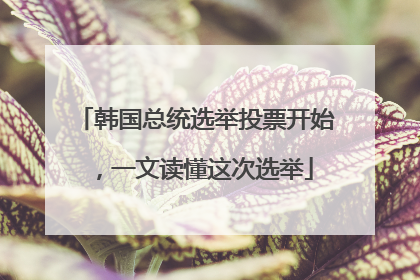韩国总统选举投票开始，一文读懂这次选举