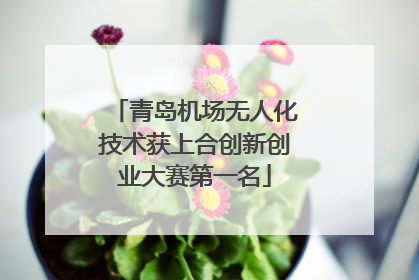青岛机场无人化技术获上合创新创业大赛第一名