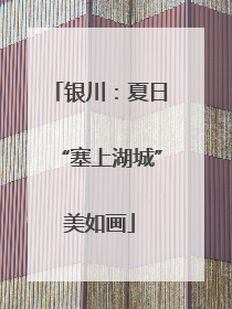 银川：夏日“塞上湖城”美如画
