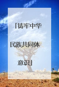 铸牢中华民族共同体意识