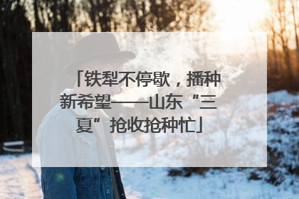 铁犁不停歇，播种新希望——山东“三夏”抢收抢种忙