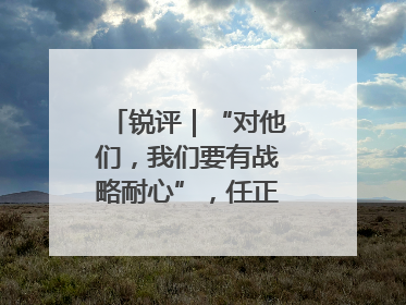 锐评｜“对他们，我们要有战略耐心”，任正非给谁提了醒