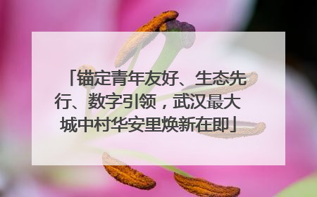 锚定青年友好、生态先行、数字引领，武汉最大城中村华安里焕新在即