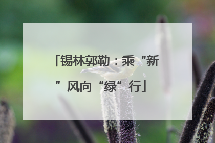 锡林郭勒：乘“新”风向“绿”行