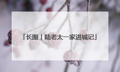 长图丨陆老太一家进城记
