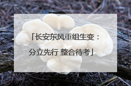 长安东风重组生变：分立先行 整合待考