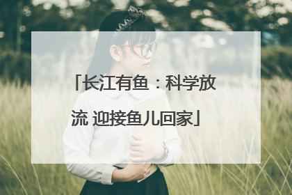 长江有鱼：科学放流 迎接鱼儿回家