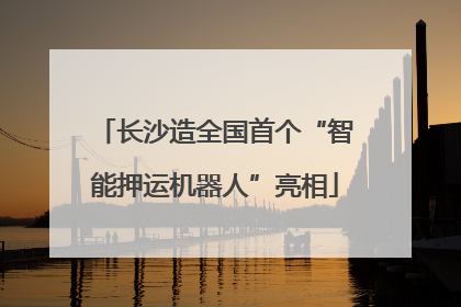 长沙造全国首个“智能押运机器人”亮相