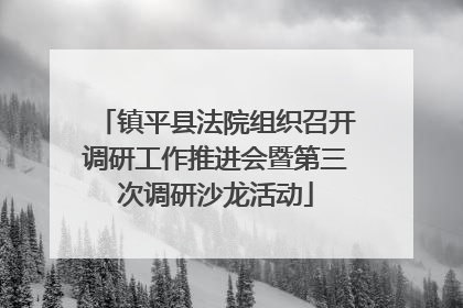 镇平县法院组织召开调研工作推进会暨第三次调研沙龙活动
