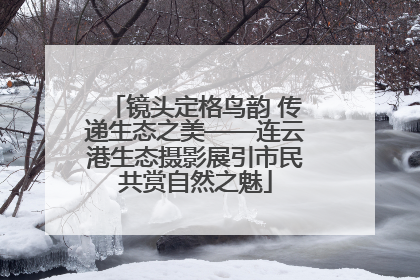 镜头定格鸟韵 传递生态之美——连云港生态摄影展引市民共赏自然之魅