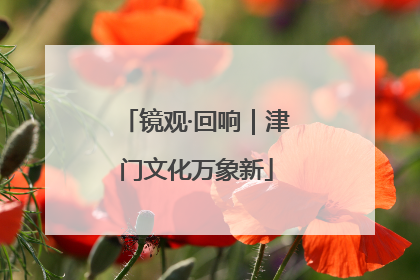镜观·回响｜津门文化万象新