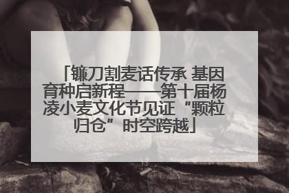 镰刀割麦话传承 基因育种启新程——第十届杨凌小麦文化节见证“颗粒归仓”时空跨越